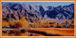 Leh Ladakh Travel